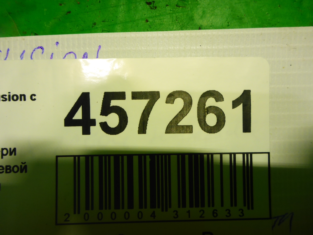 Петля двери передней левой нижняя