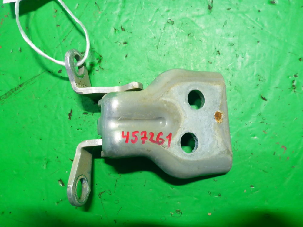 Петля двери передней левой нижняя