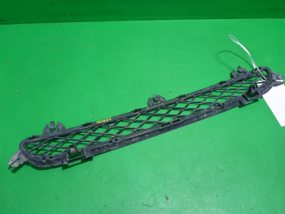 Решетка в бампер центральная