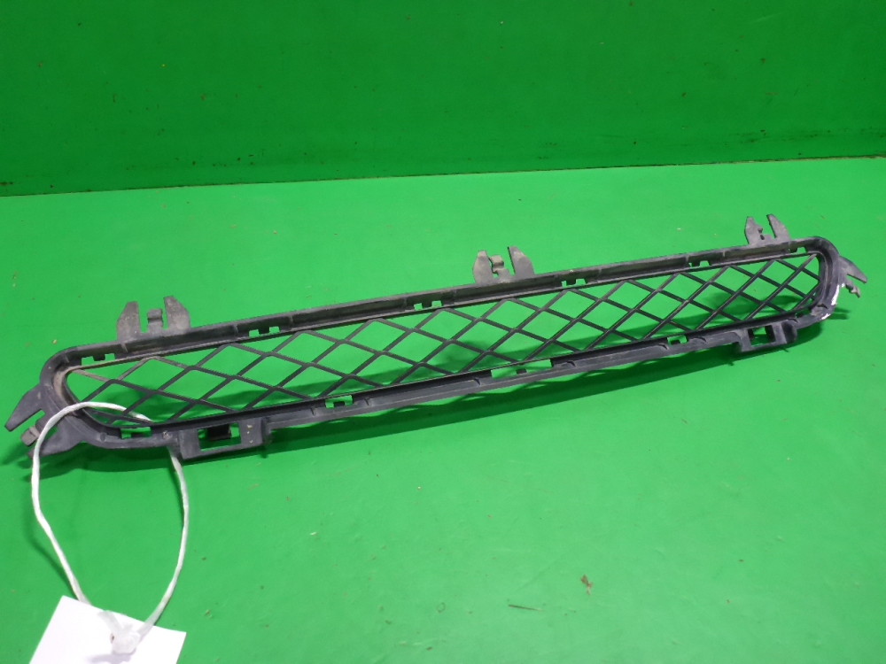 Решетка в бампер центральная