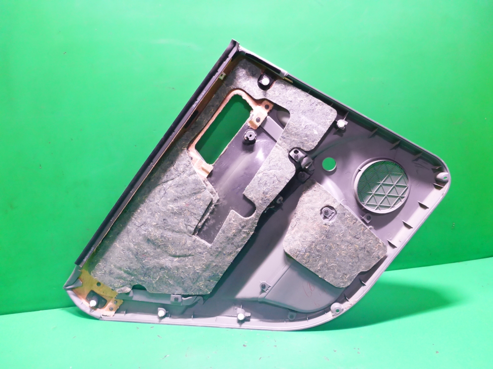 Обшивка двери задней правой