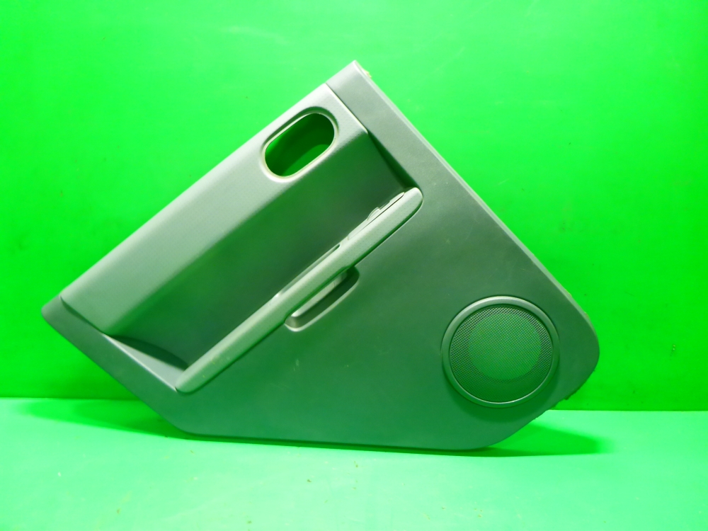 Обшивка двери задней левой