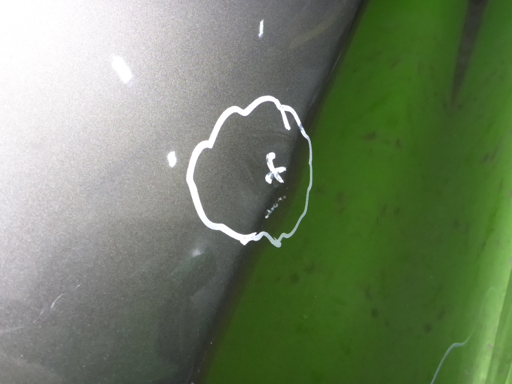 Дверь передняя левая