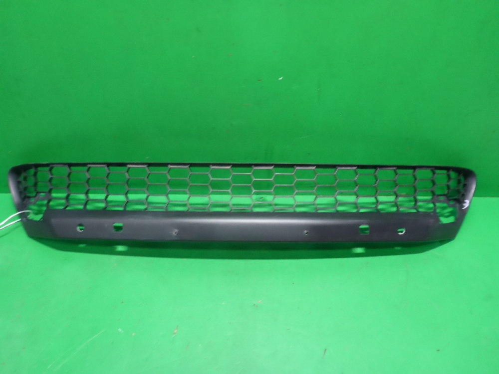 Решетка в бампер центральная