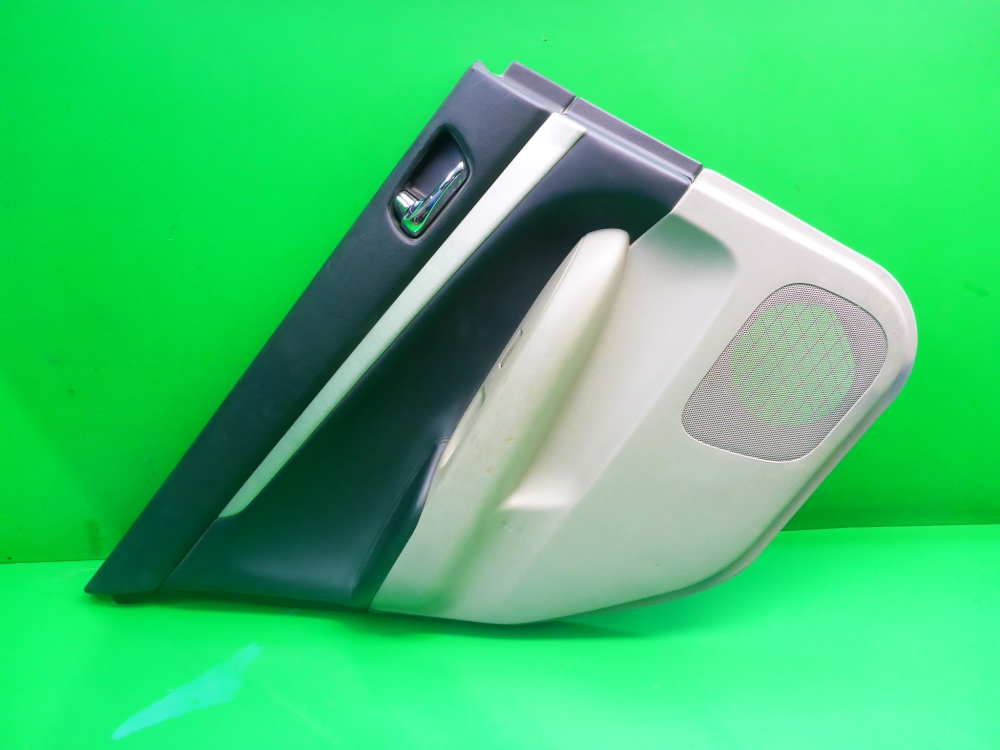 Обшивка двери задней левой