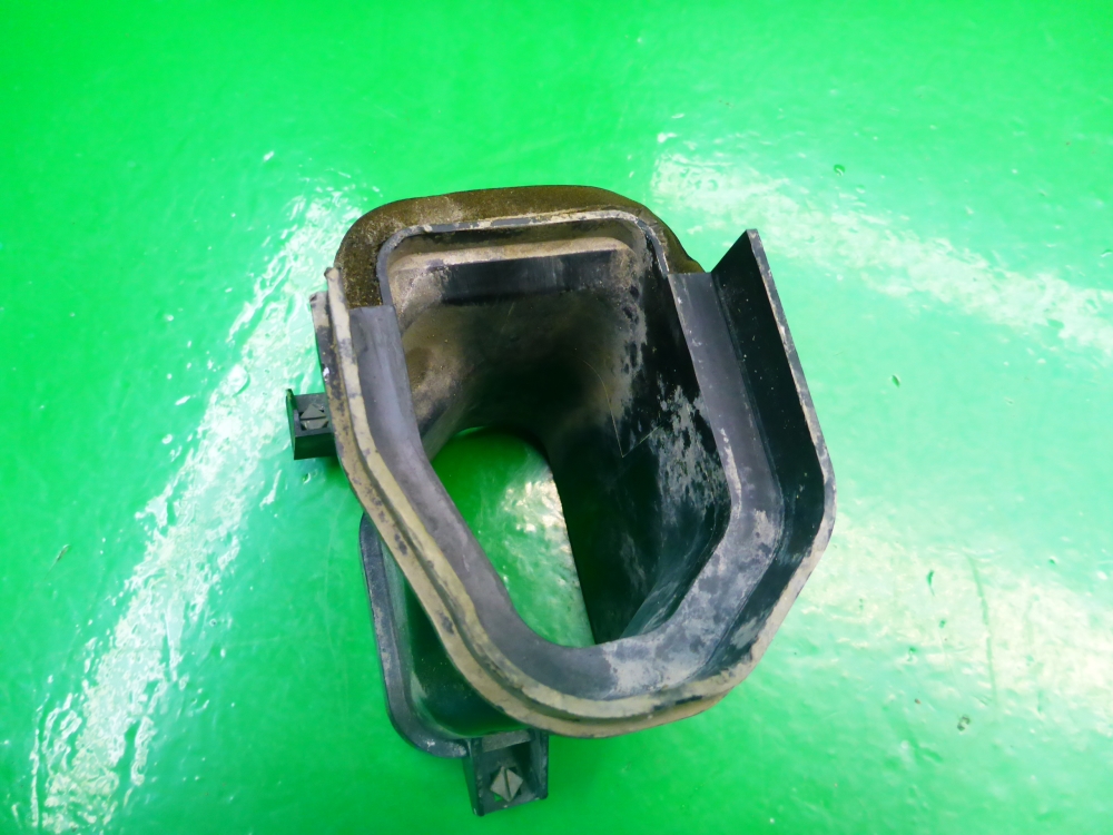 Воздухозаборник (внутри)