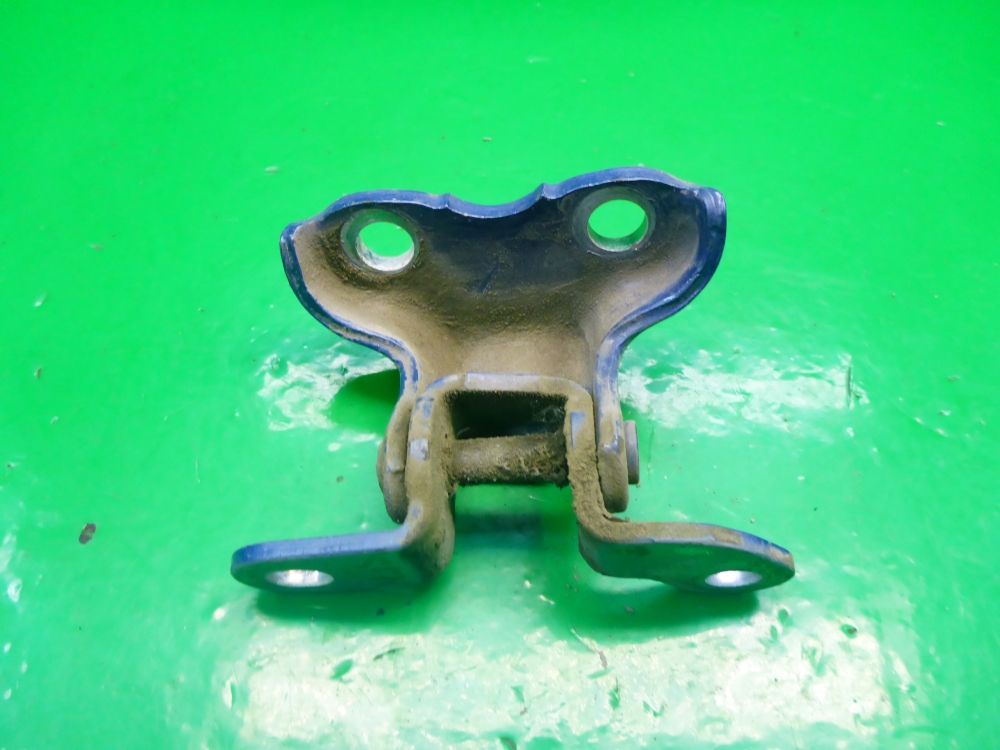 Петля двери задней левой нижняя