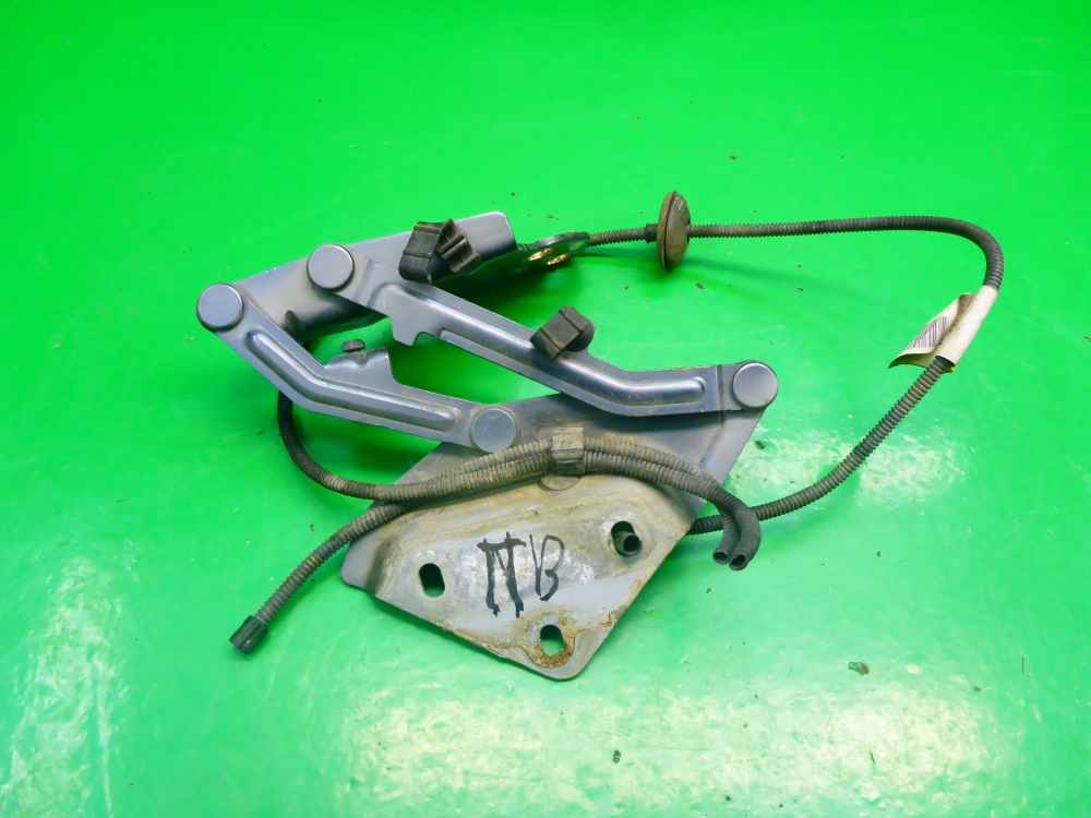 Петля капота правая