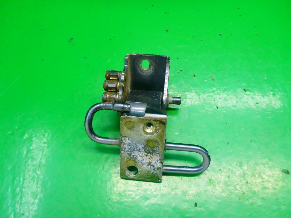 Петля двери передней левой нижняя