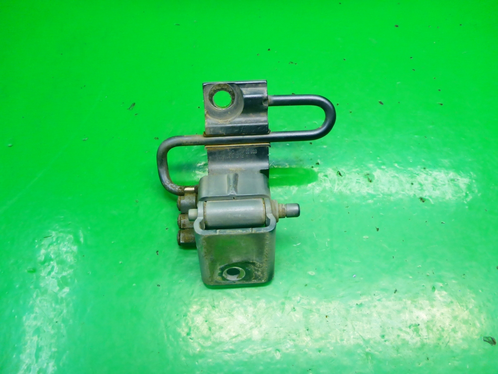 Петля двери передней левой нижняя