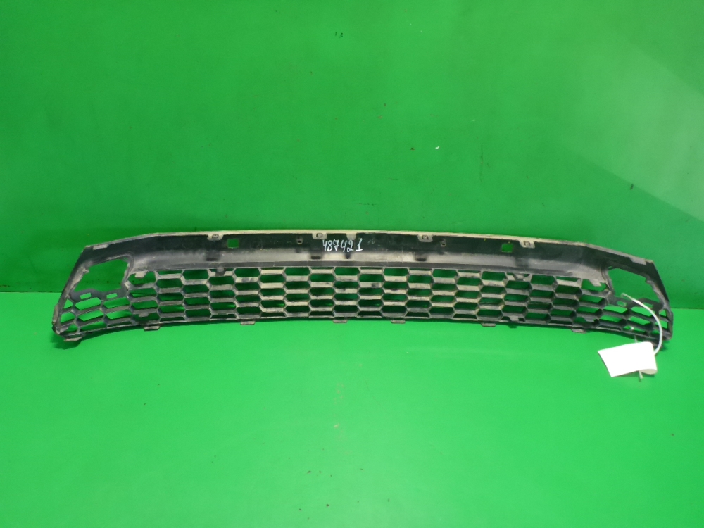 Решетка в бампер центральная