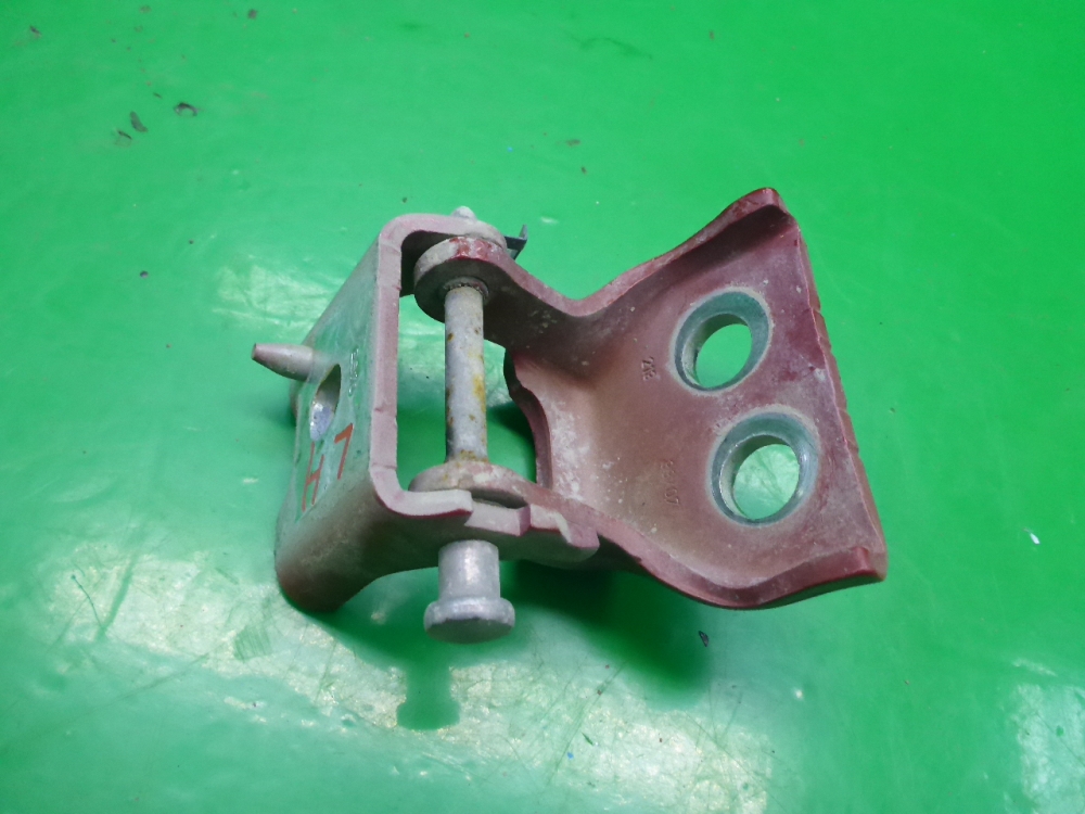 Петля двери передней левой нижняя