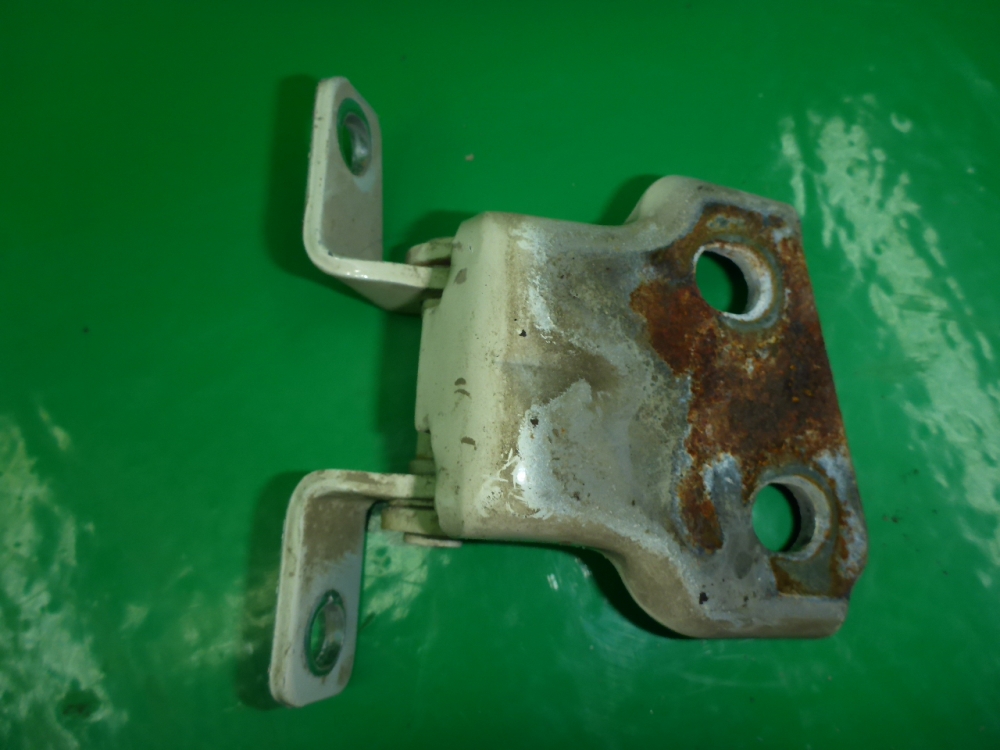 Петля двери передней правой нижняя