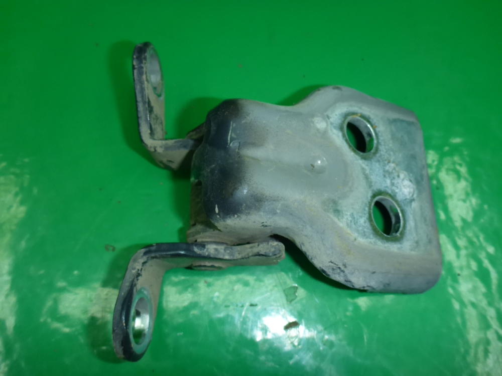 Петля двери передней правой нижняя