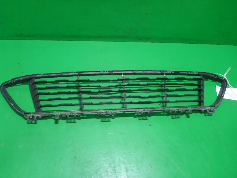 Решетка в бампер центральная