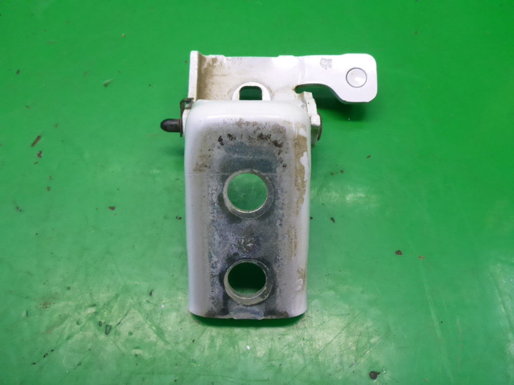 Петля двери задней левой нижняя