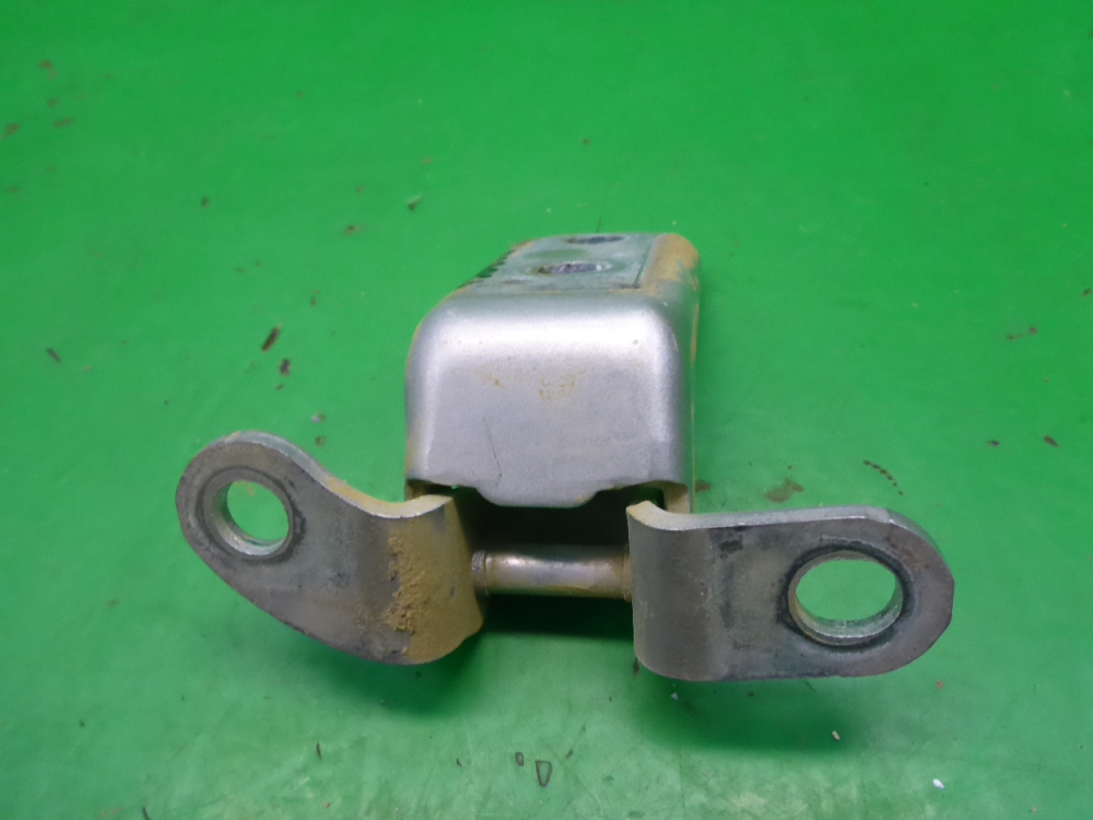 Петля двери задней правой нижняя