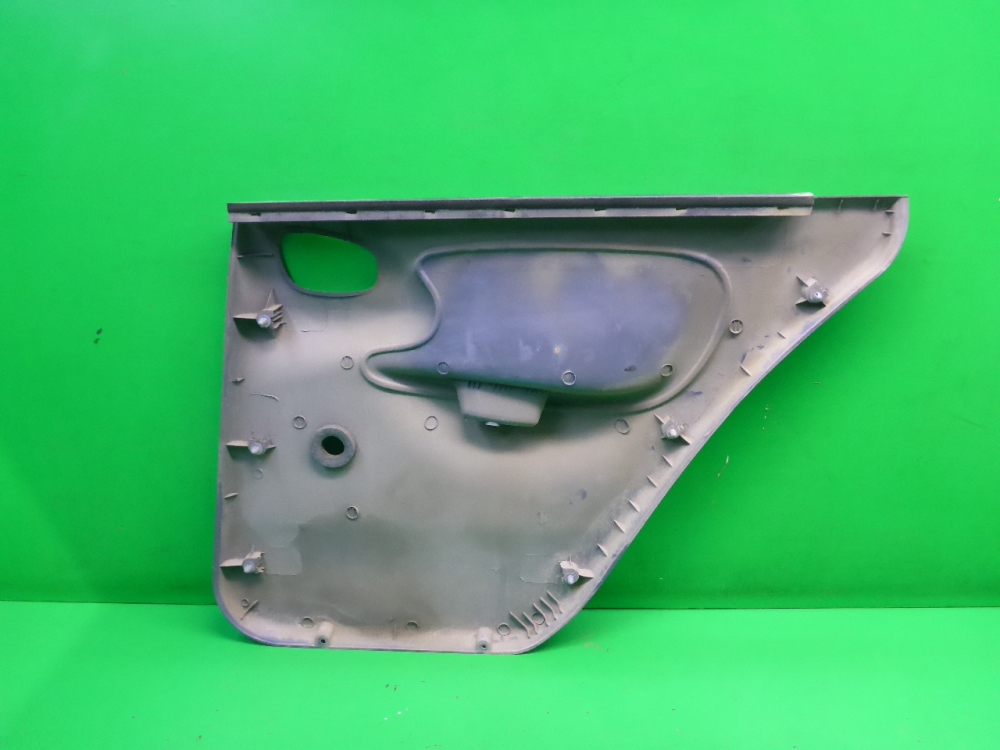 Обшивка двери задней левой