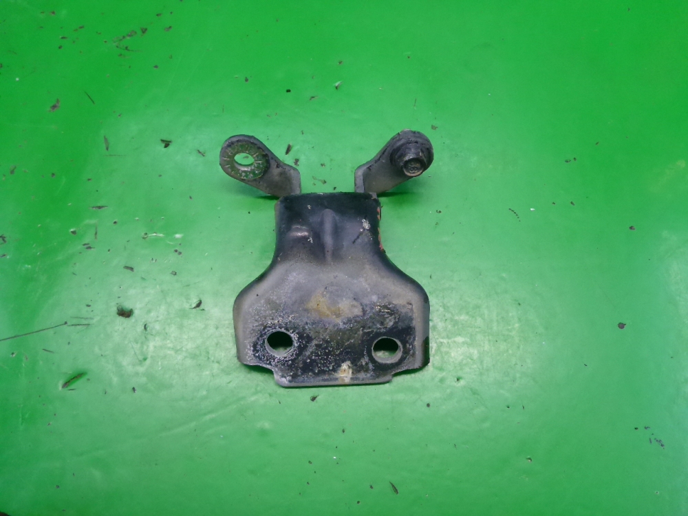 Петля двери передней левой нижняя