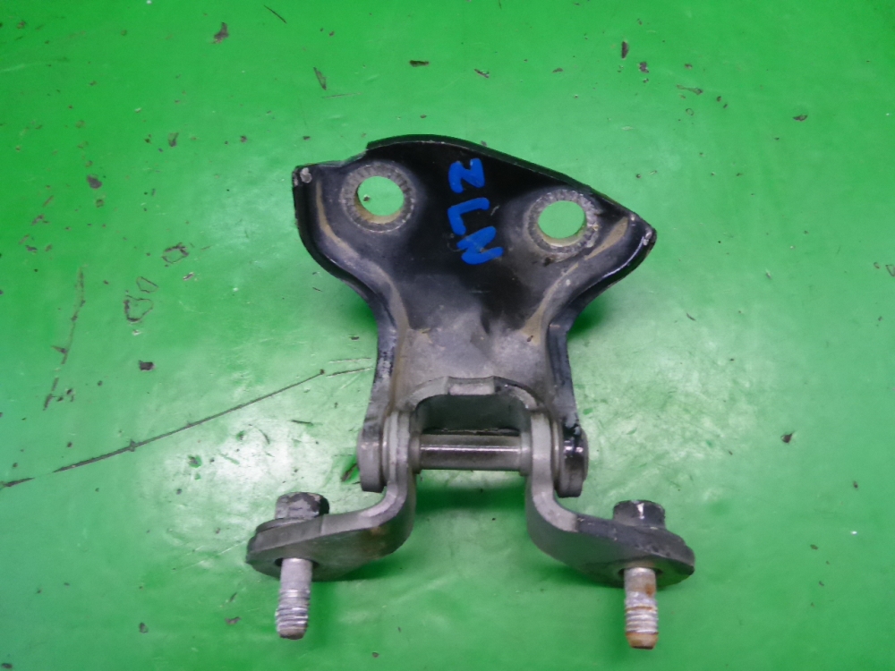 Петля двери задней левой нижняя