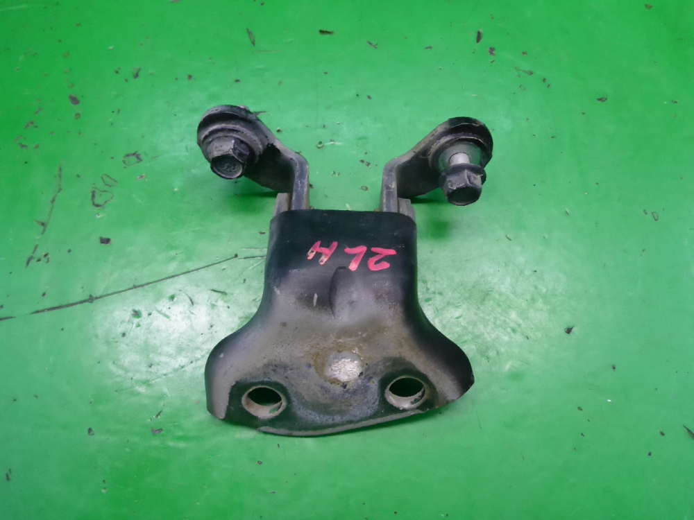 Петля двери задней левой нижняя