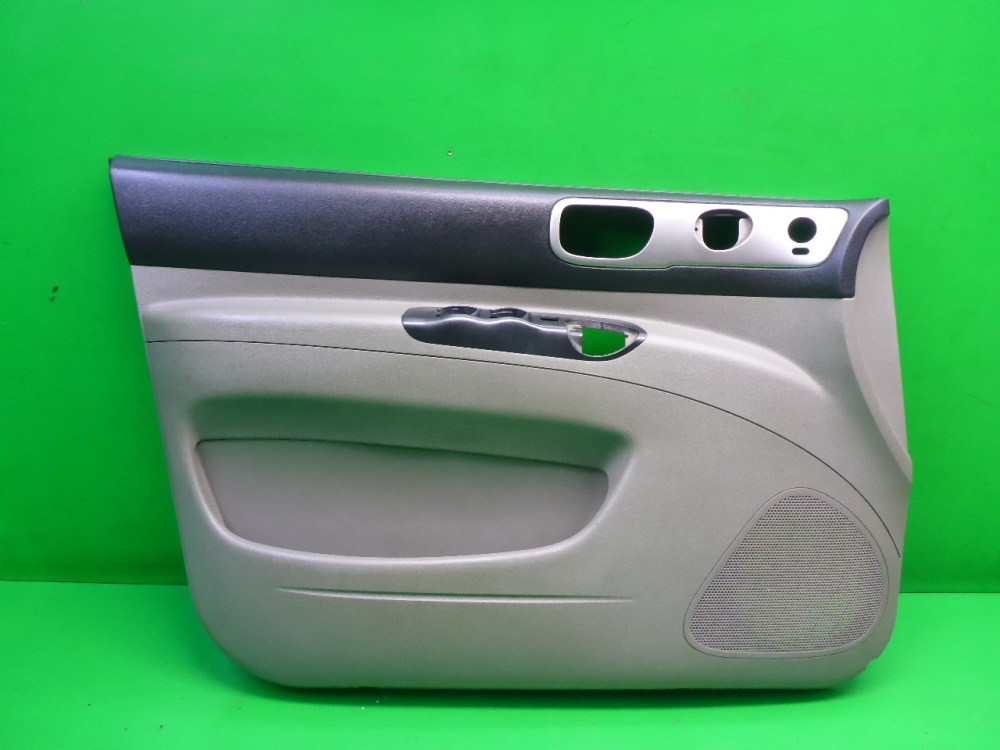 Обшивка двери передней левой