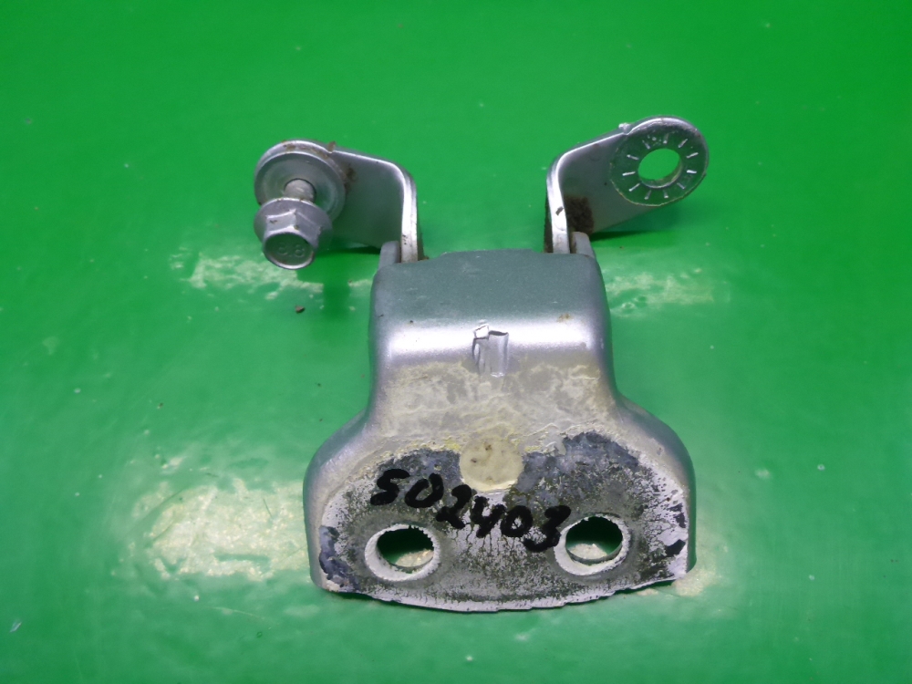 Петля двери задней правой нижняя