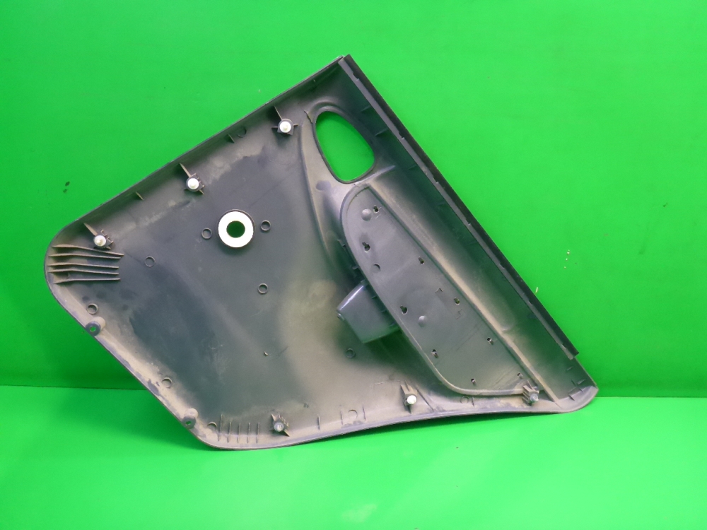 Обшивка двери задней левой