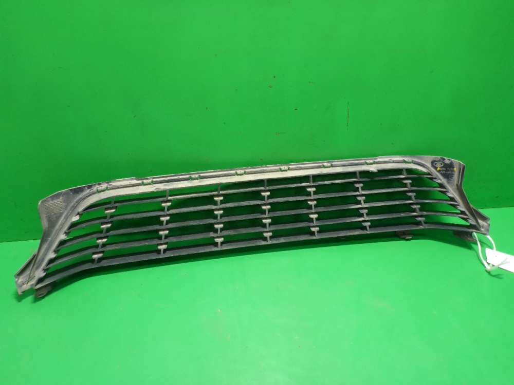 Решетка в бампер центральная