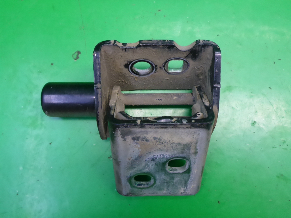 Петля двери передней правой нижняя