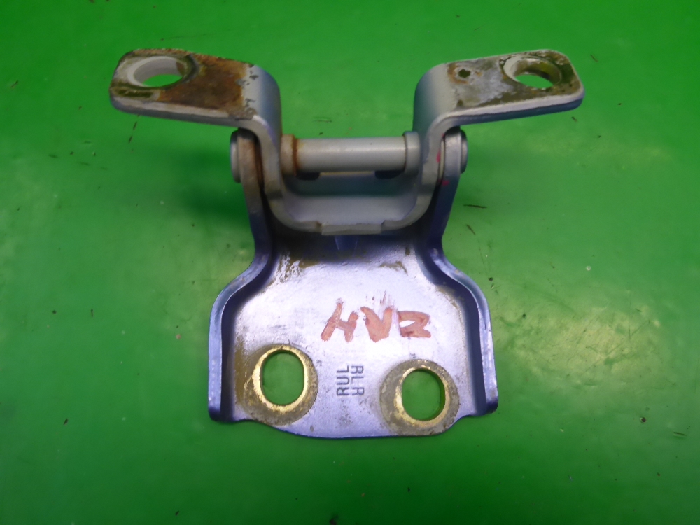 Петля двери задней правой нижняя