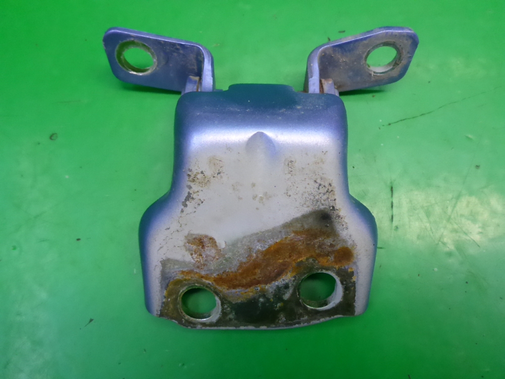 Петля двери задней правой нижняя