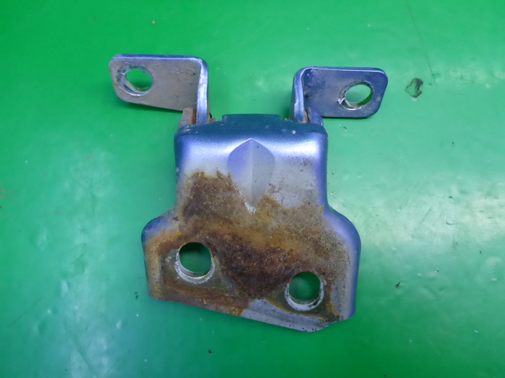 Петля двери передней левой нижняя