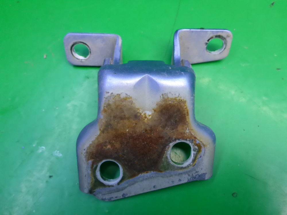 Петля двери передней правой нижняя