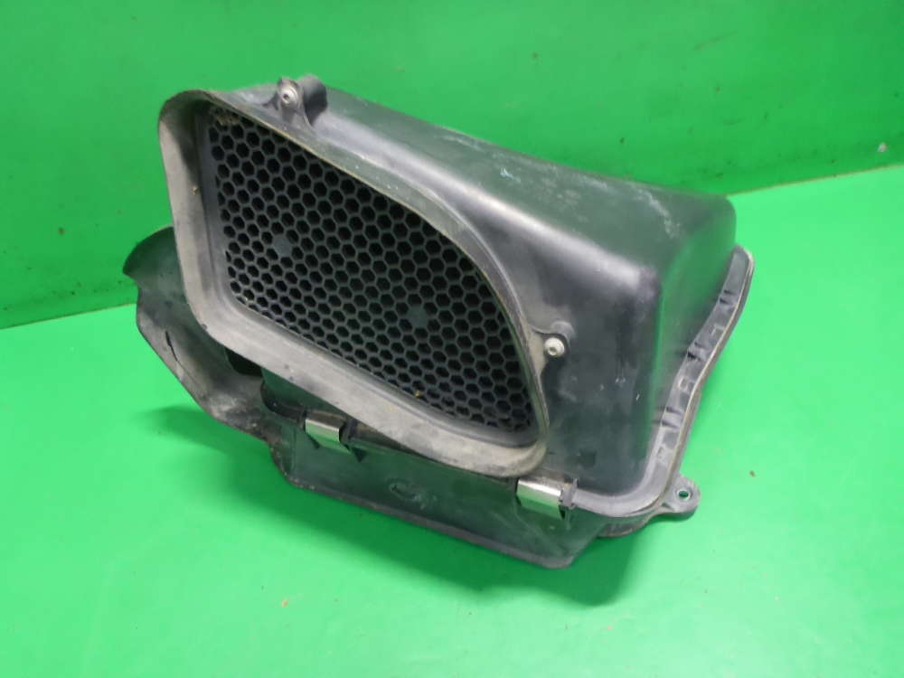 Воздухозаборник (внутри)