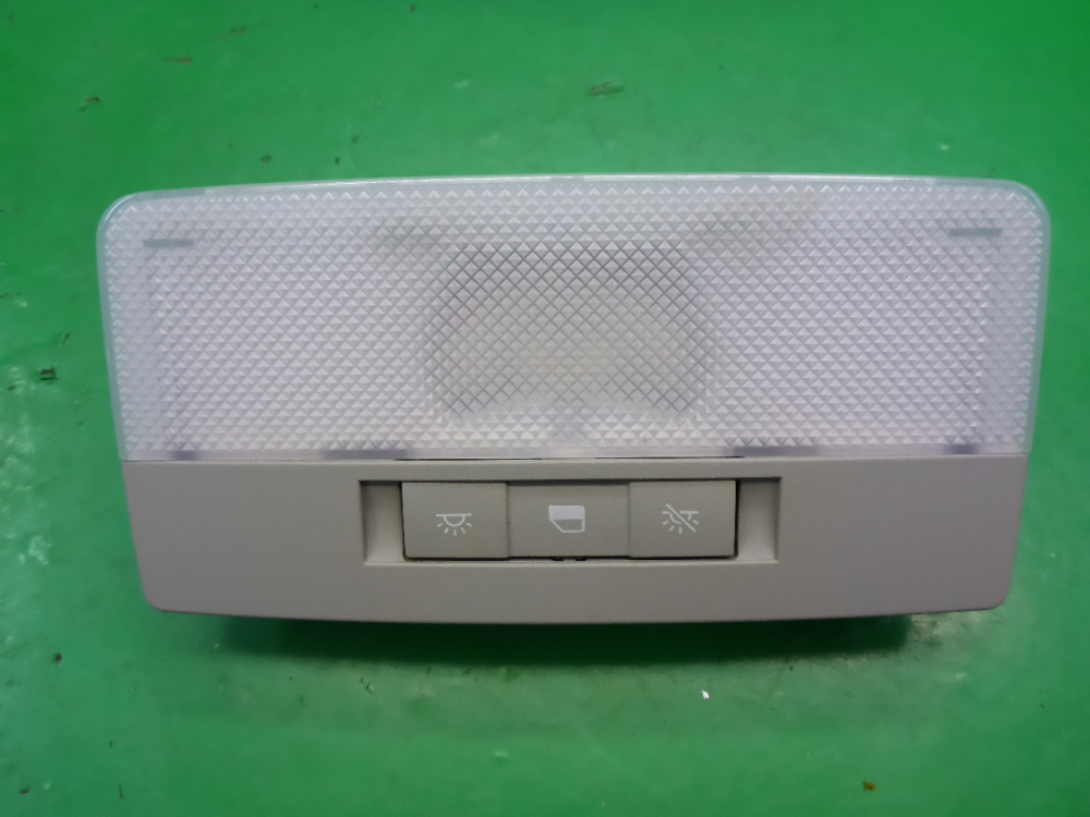 Плафон салонный