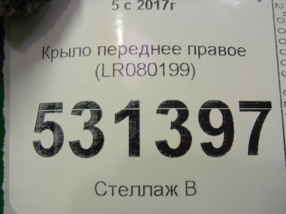 Крыло переднее правое