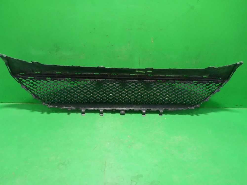 Решетка в бампер центральная