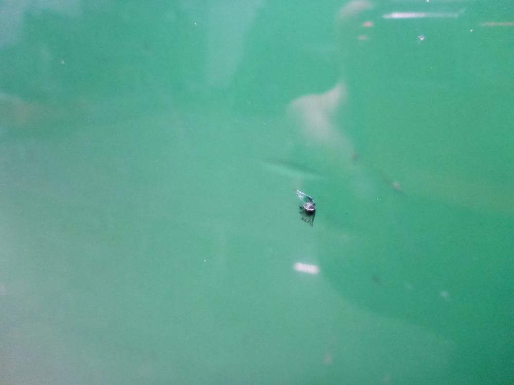 Стекло лобовое