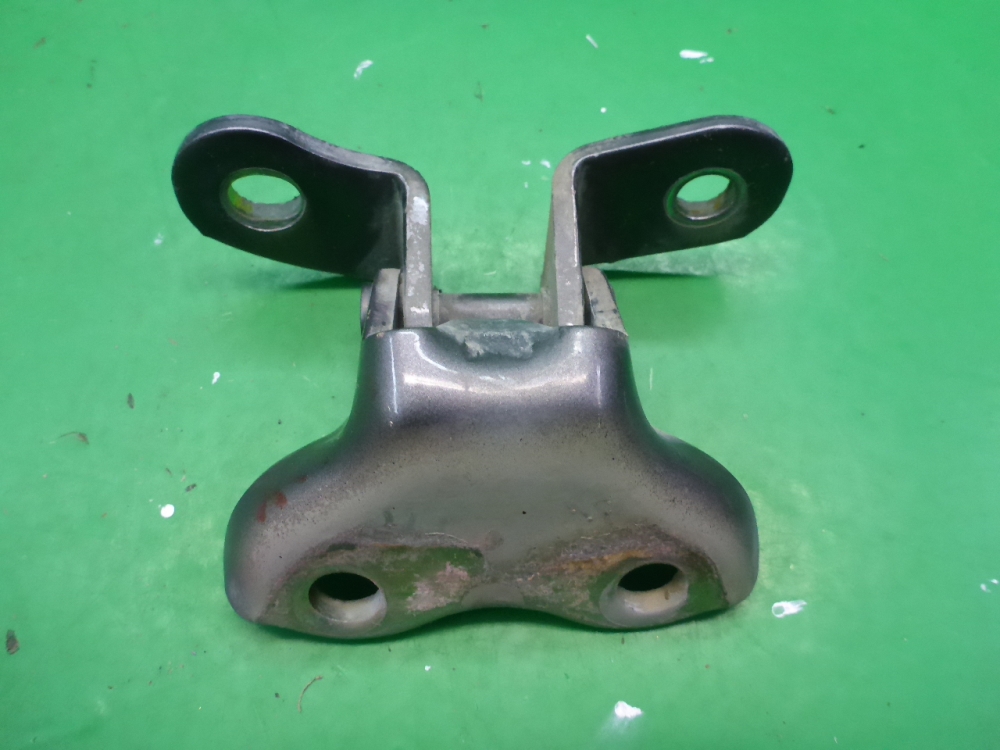 Петля двери передней правой нижняя