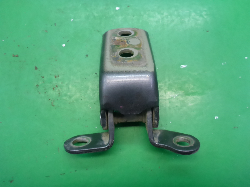 Петля двери задней левой нижняя