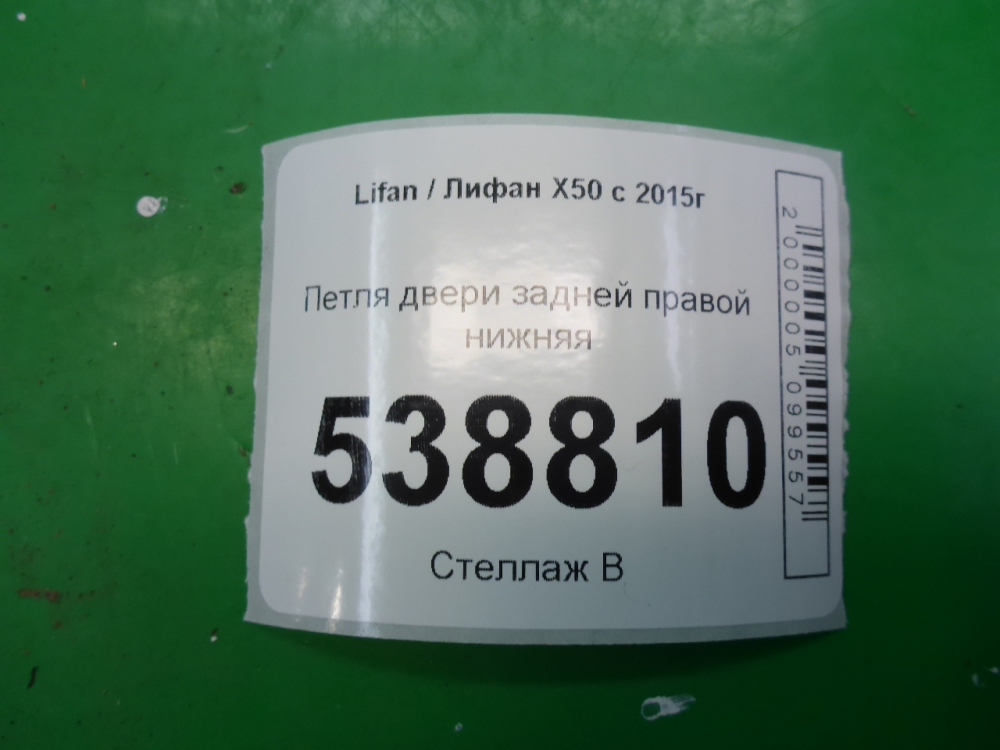 Петля двери задней правой нижняя