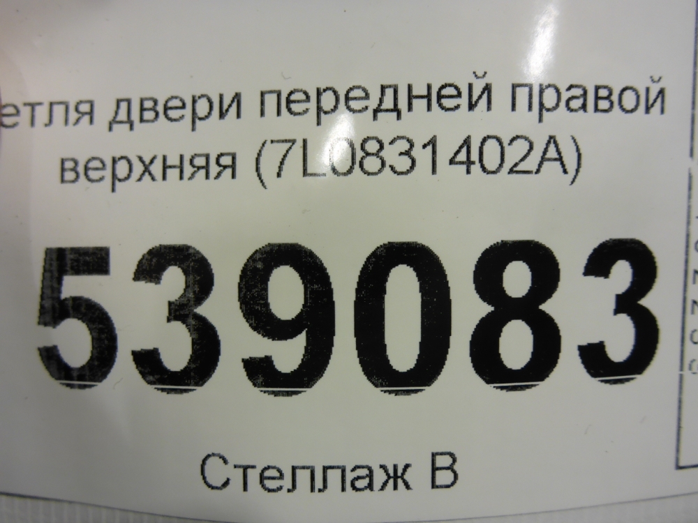 Петля двери передней правой верхняя