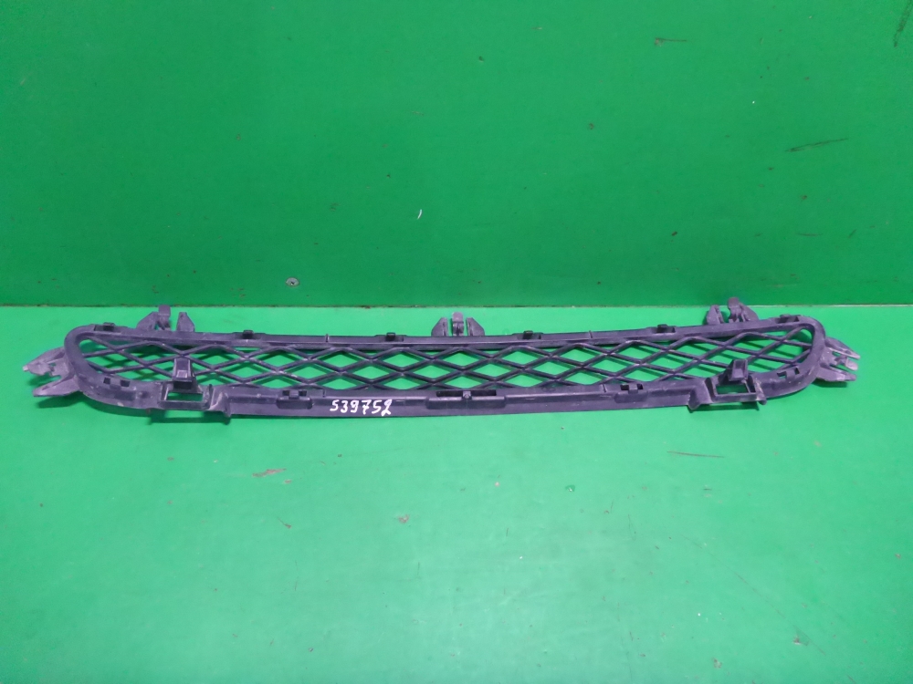 Решетка в бампер центральная