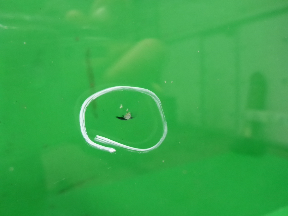 Стекло лобовое