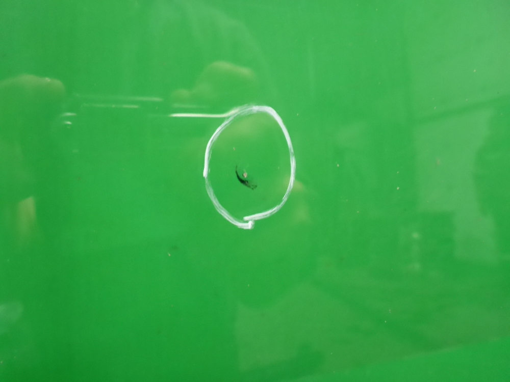 Стекло лобовое