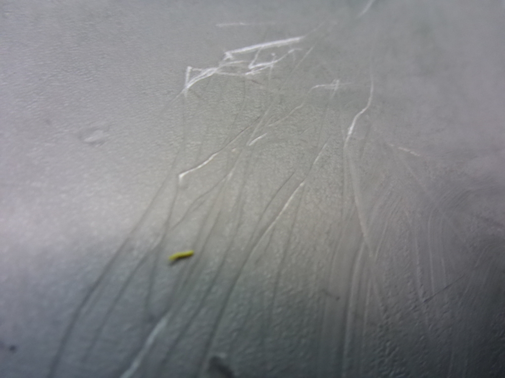 Угол бампера правый