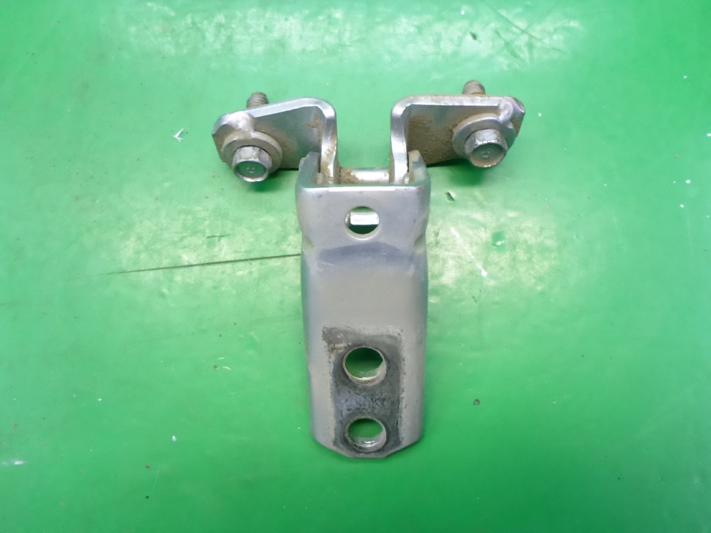 Петля двери задней правой нижняя