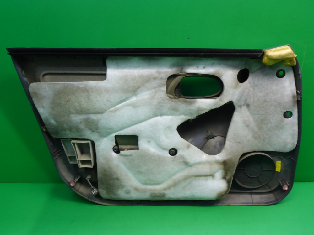 Обшивка двери передней правой