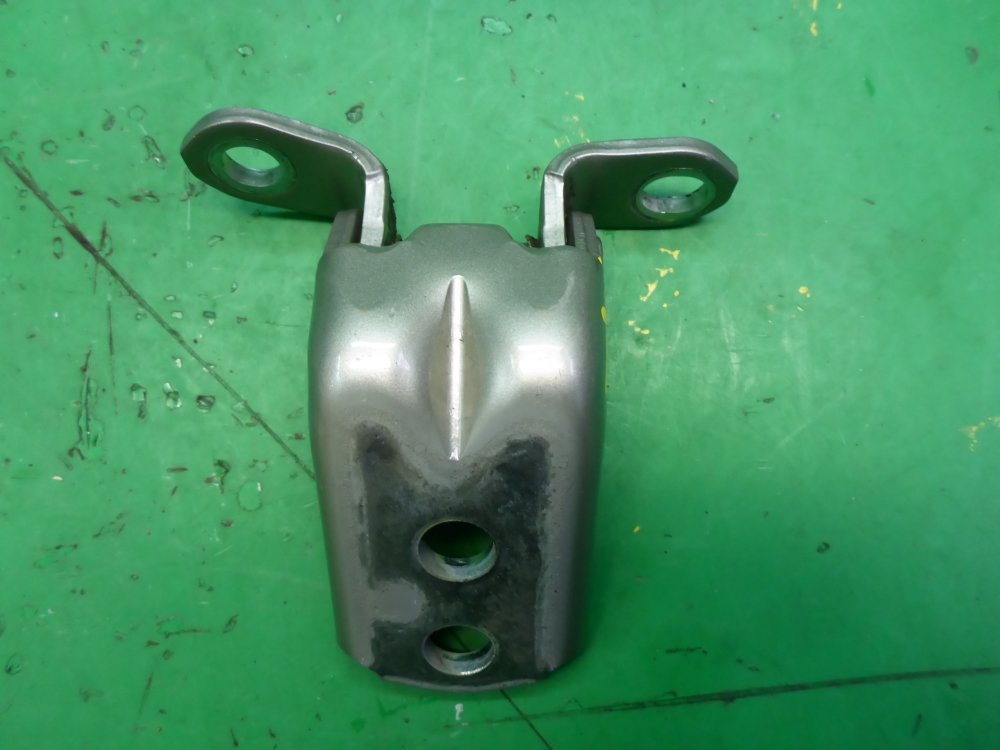 Петля двери задней левой нижняя